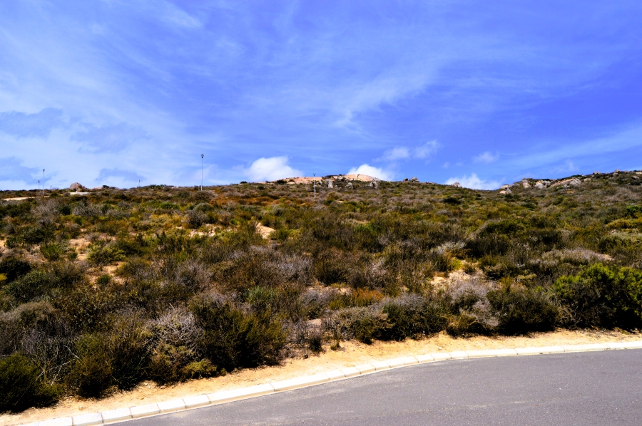 0 Bedroom Property for Sale in Steenbergs Cove Western Cape